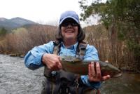 Beauty Rainbow on a New Mexico fly fishing guide trip while fly fishing near Red River and Taos